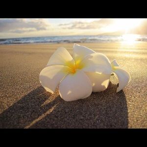 Meet your Posher, Candise